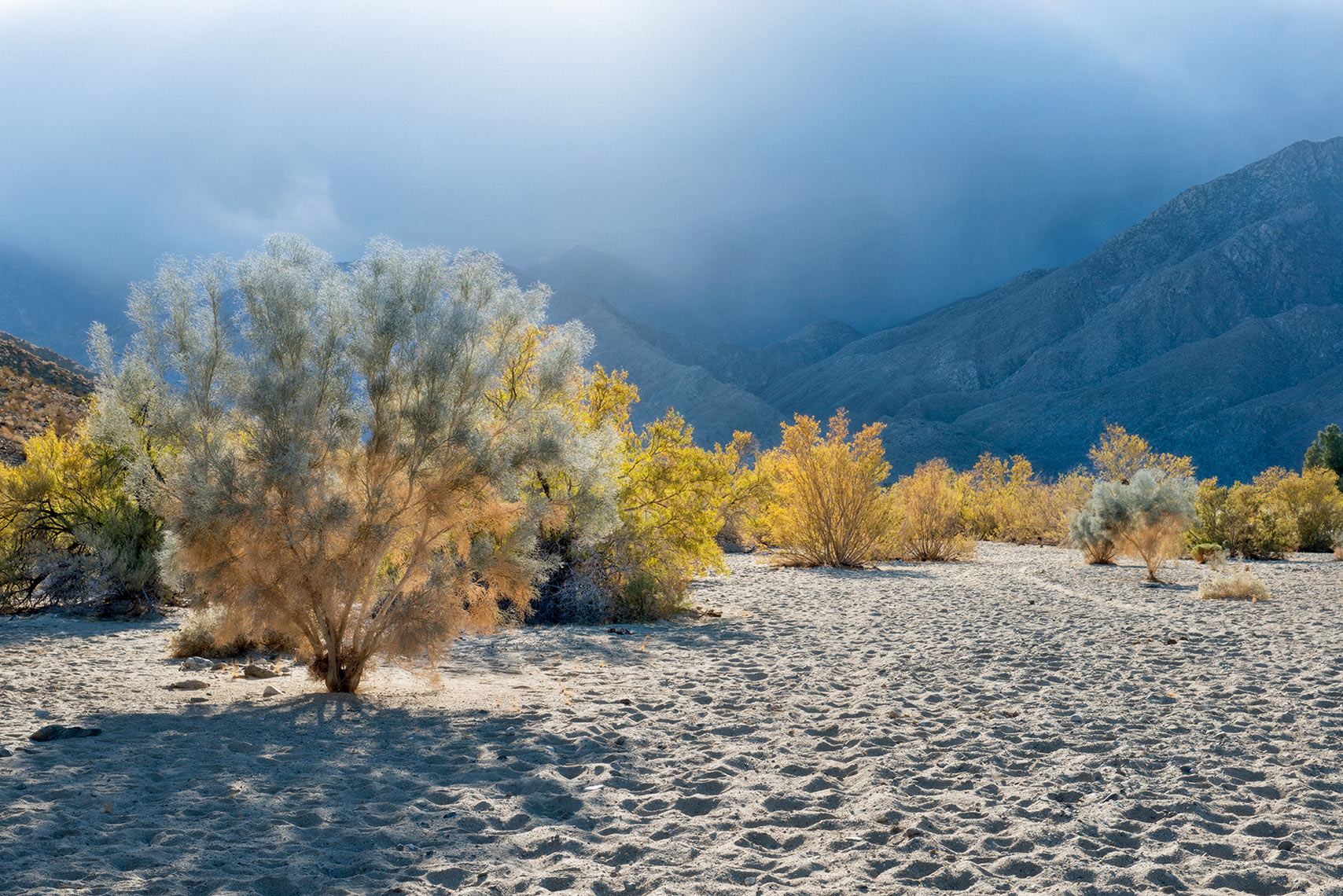 Depth of Field: Exploring Landscape Photography through Design and Light