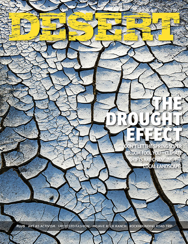 Drought-Cover_web