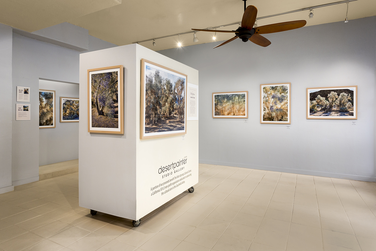 smoketree_2-1014-Gallery1copy